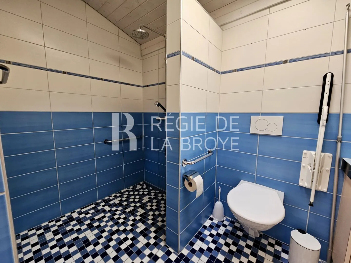 2.5 Room Apartment on the Ground Floor in Estavayer-le-Lac - Photo 6 of 10