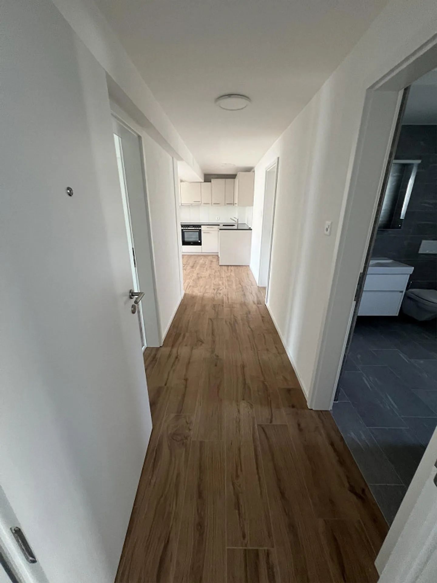 Prima locazione! - appartamento 3.5 stanze completamente ristrutturato e bello con grande balcone - Foto 3 di 9