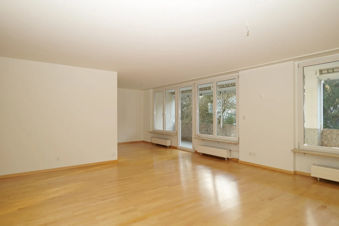 Spacious Living in Allschwil - Photo 3 of 9