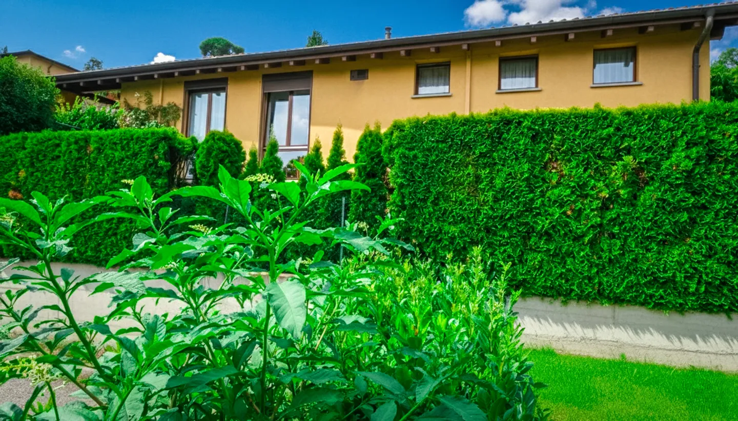 Incantevole casa unifamiliare a Breganzona - Foto 2 di 17