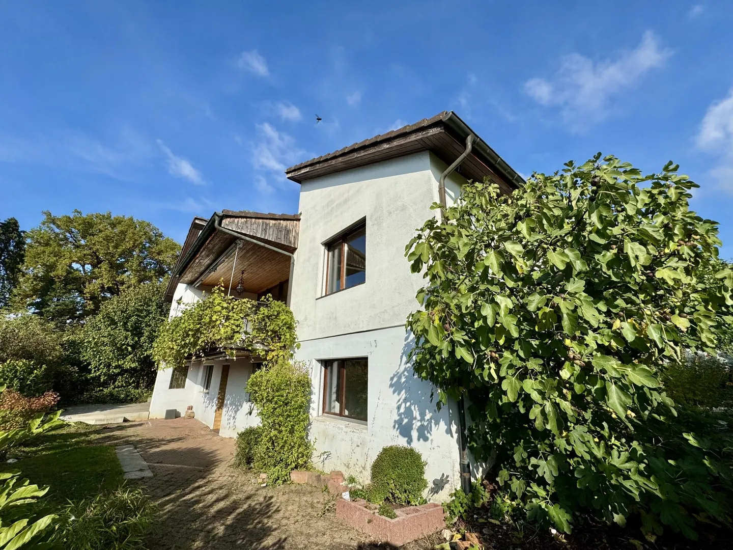 Traumhafte Aussicht & viel Platz - Ihr neues Zuhause in Dornach - Foto 5 von 13