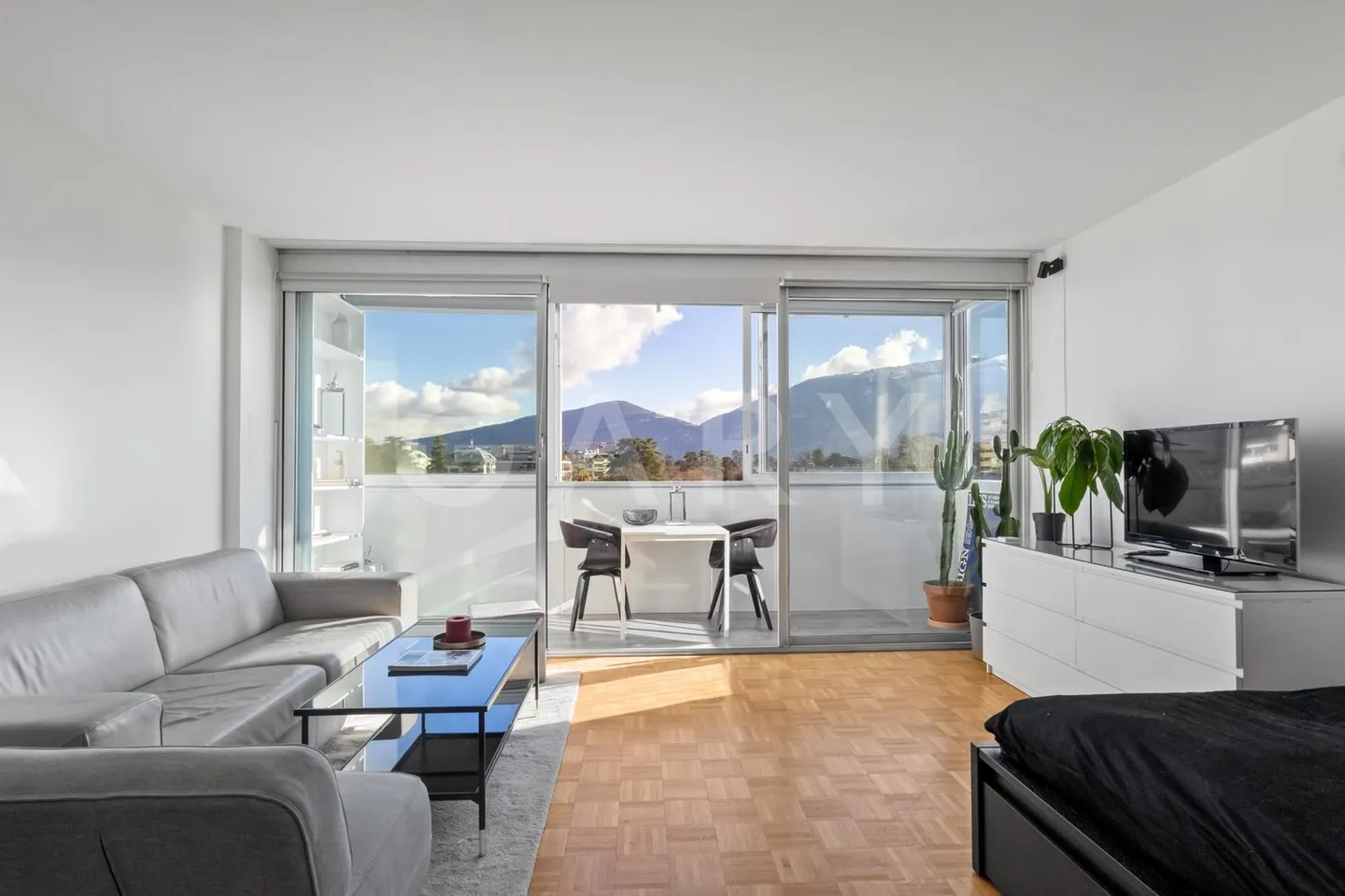 Rare studio in the attic, unobstructed view and absolute tranquility in the heart of Geneva - Photo 1 of 11