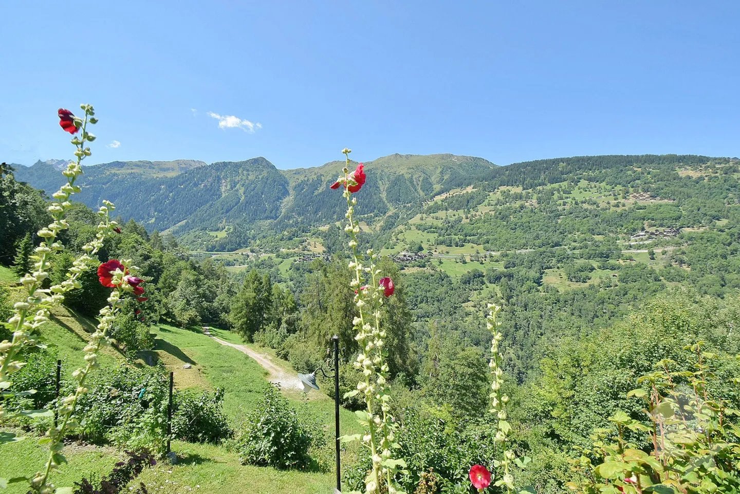 Wunderschönes Berghaus in ruhiger Lage ohne Nachbarn! - Foto 3 von 20