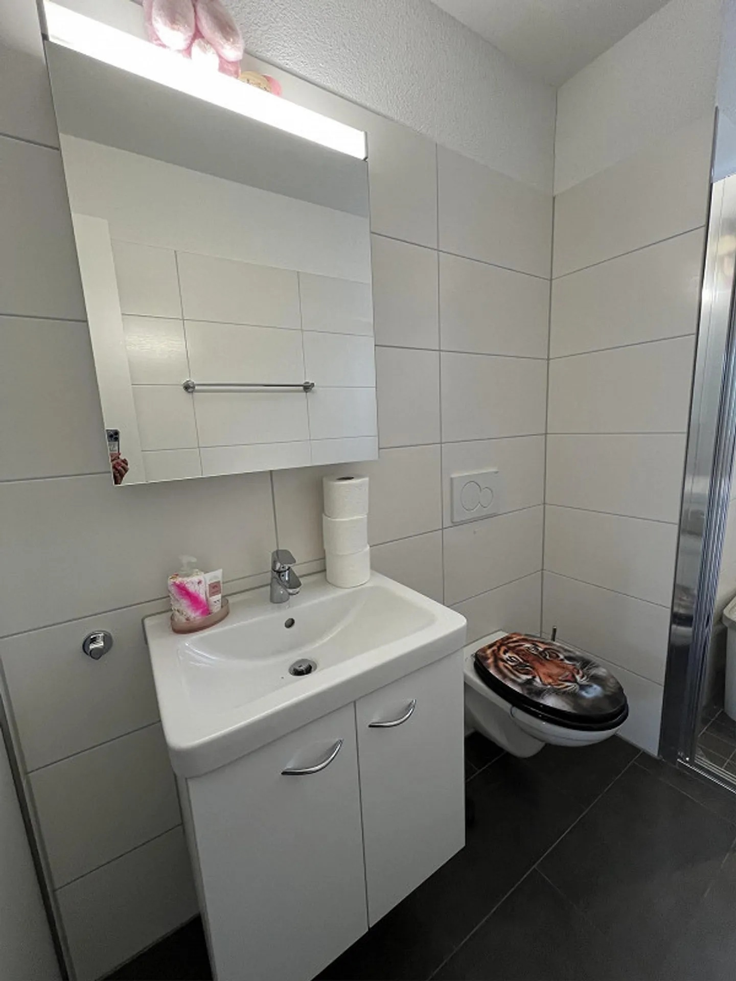 Votre alternative ! Appartement 4.5 pièces (Minergie) au dernier étage - Photo 11 sur 16