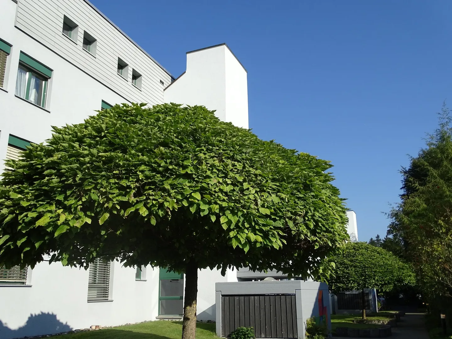 A home for your car! - Photo 1 of 1