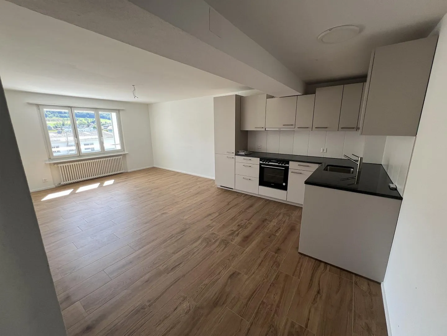 Prima locazione! - appartamento 3.5 stanze completamente ristrutturato e bello con grande balcone - Foto 1 di 9