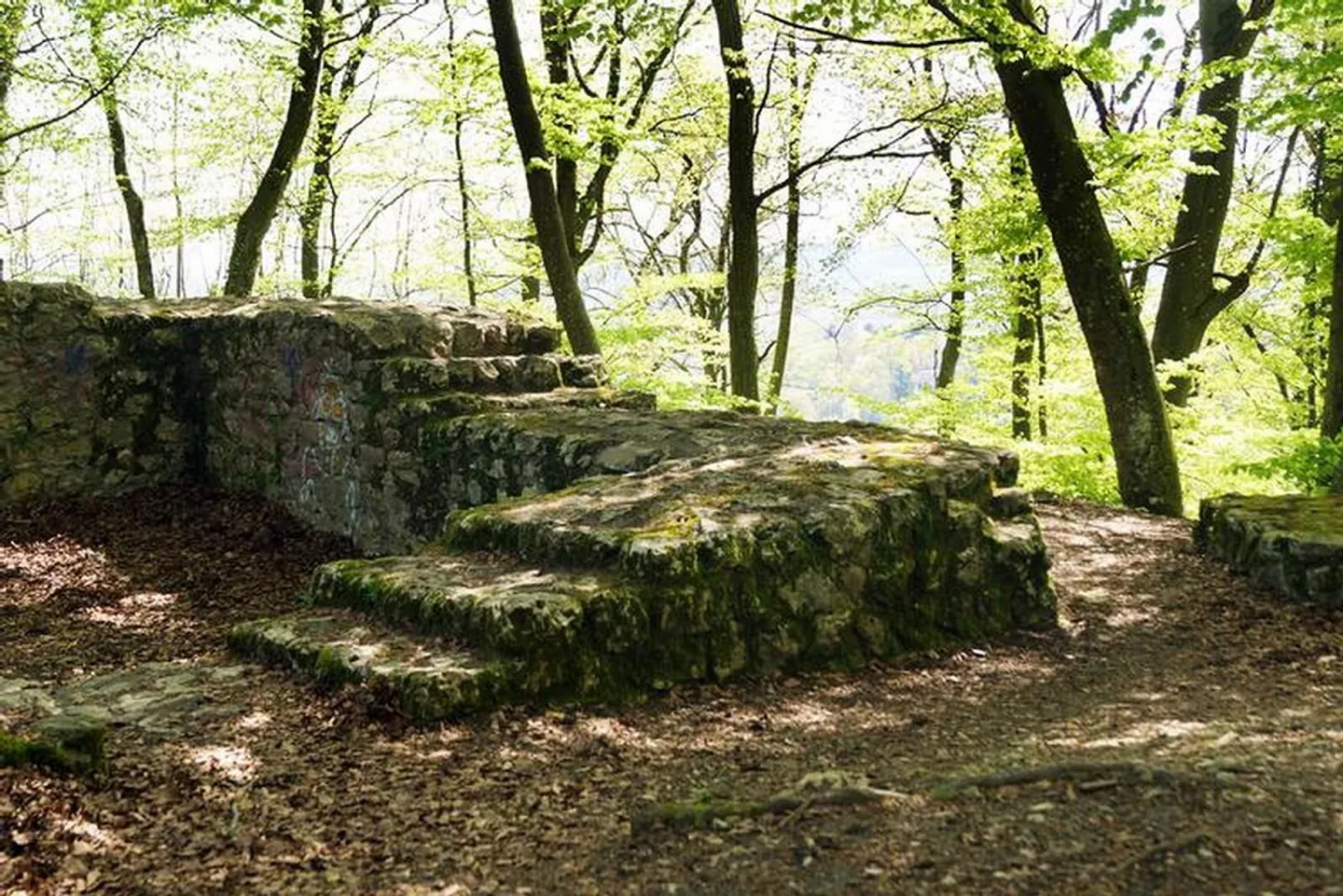 Living at Burghalde - Photo 7 of 7