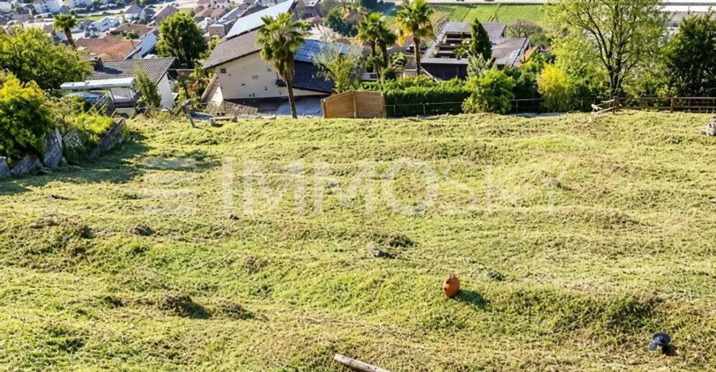 Il tuo futuro inizia qui: un angolo di tranquillità - Foto 3 di 3