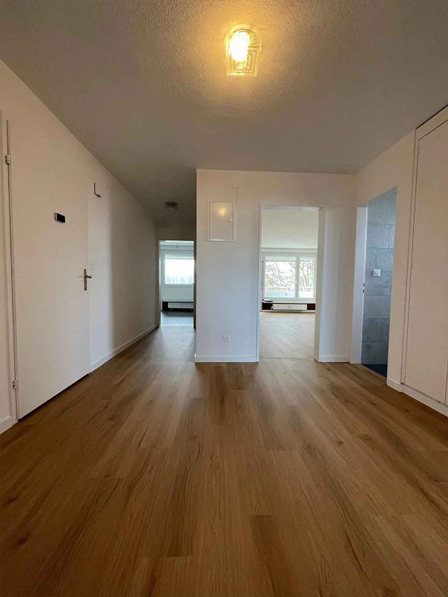 Modern 4.5 room apartment with unique living room - Photo 4 of 9