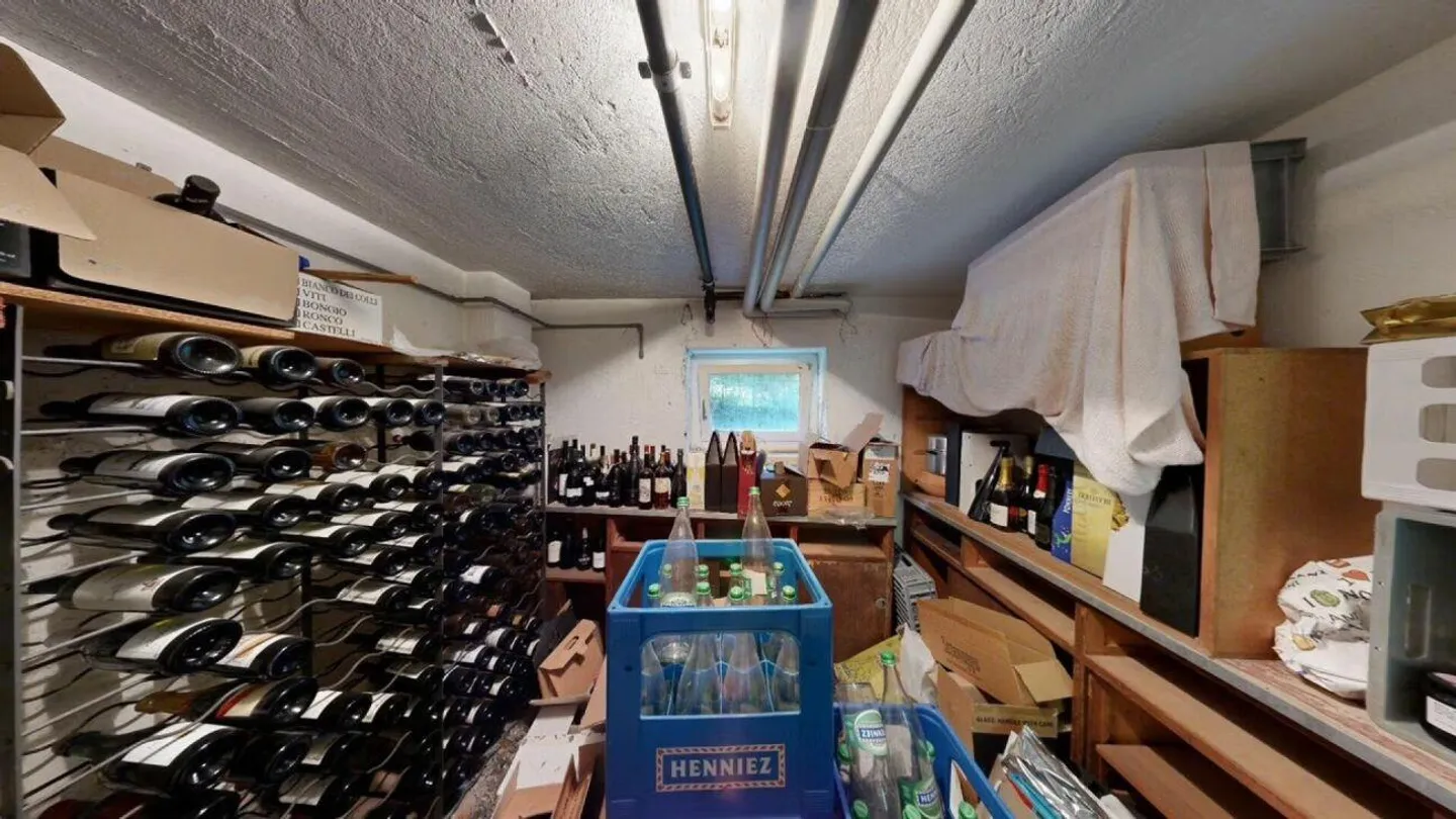 Stunning two-family house with pool - Sementina - Photo 27 of 28