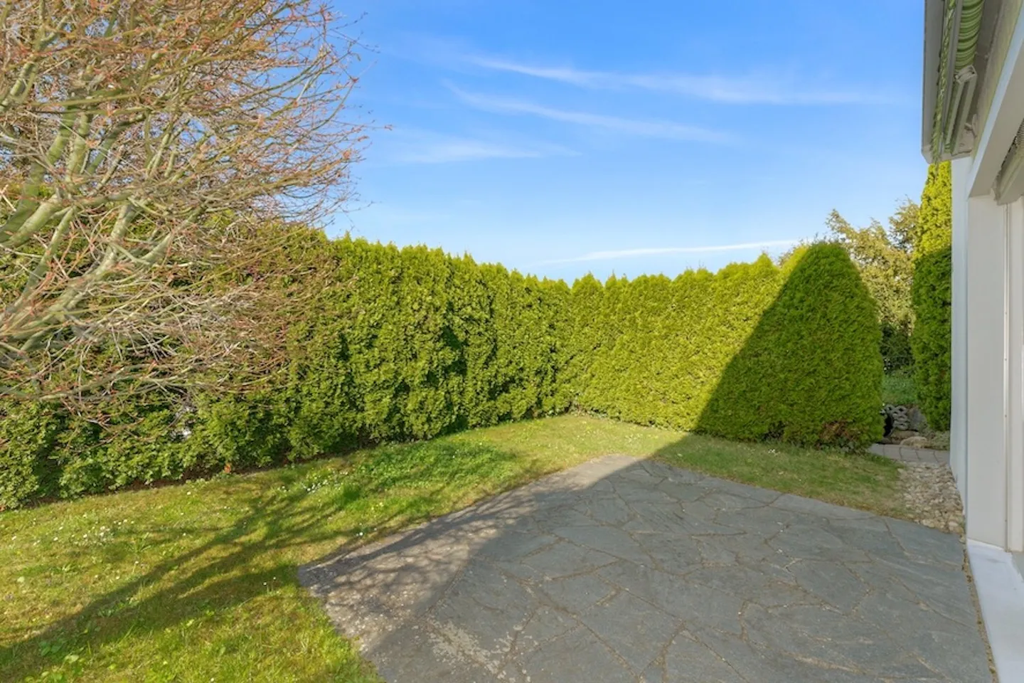 Spacious Garden Apartment with Studio - Photo 1 of 11