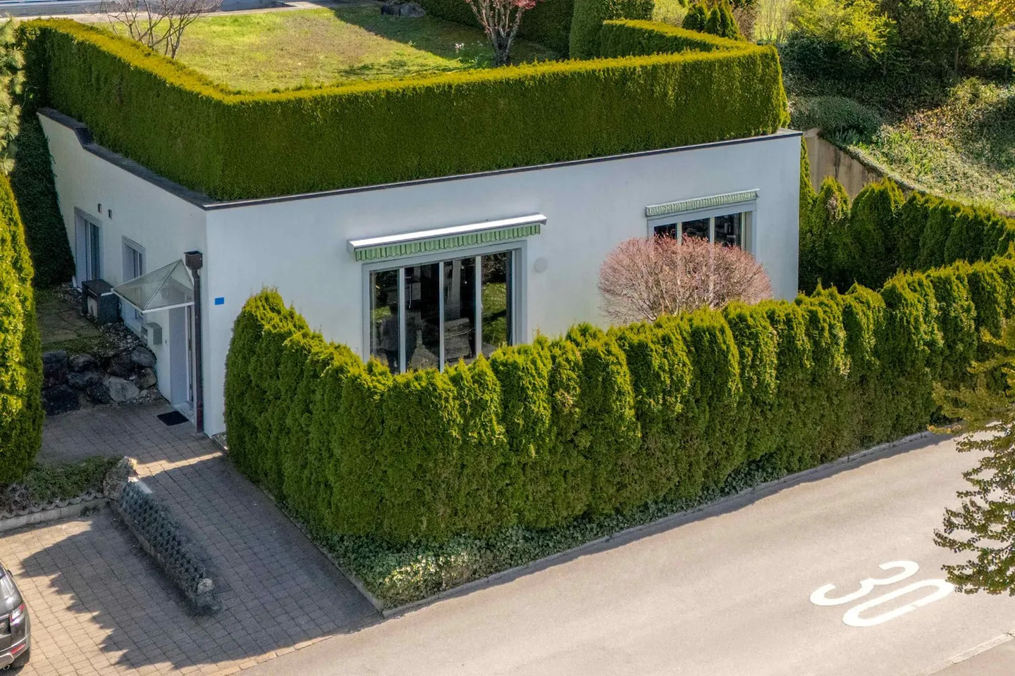 Spacious Garden Apartment with Studio - Photo 11 of 11