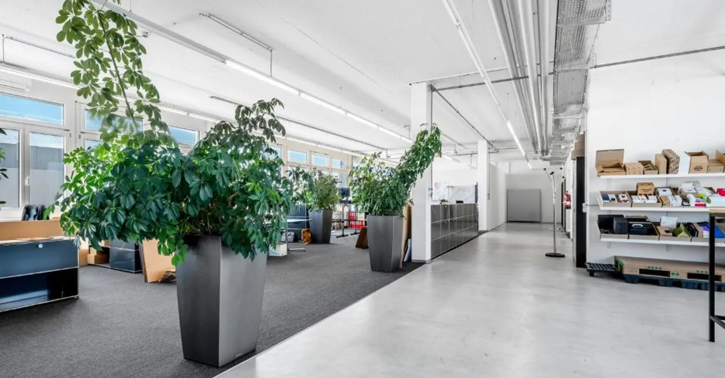 Bureau ou espace commercial à partir de 350 m² dans la zone Althard - Photo 1 sur 5