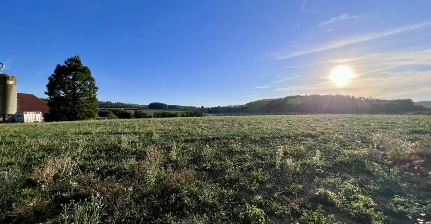 Nuovo quartiere residenziale - Nuovo appartamento di 5,5 stanze - Foto 6 di 7
