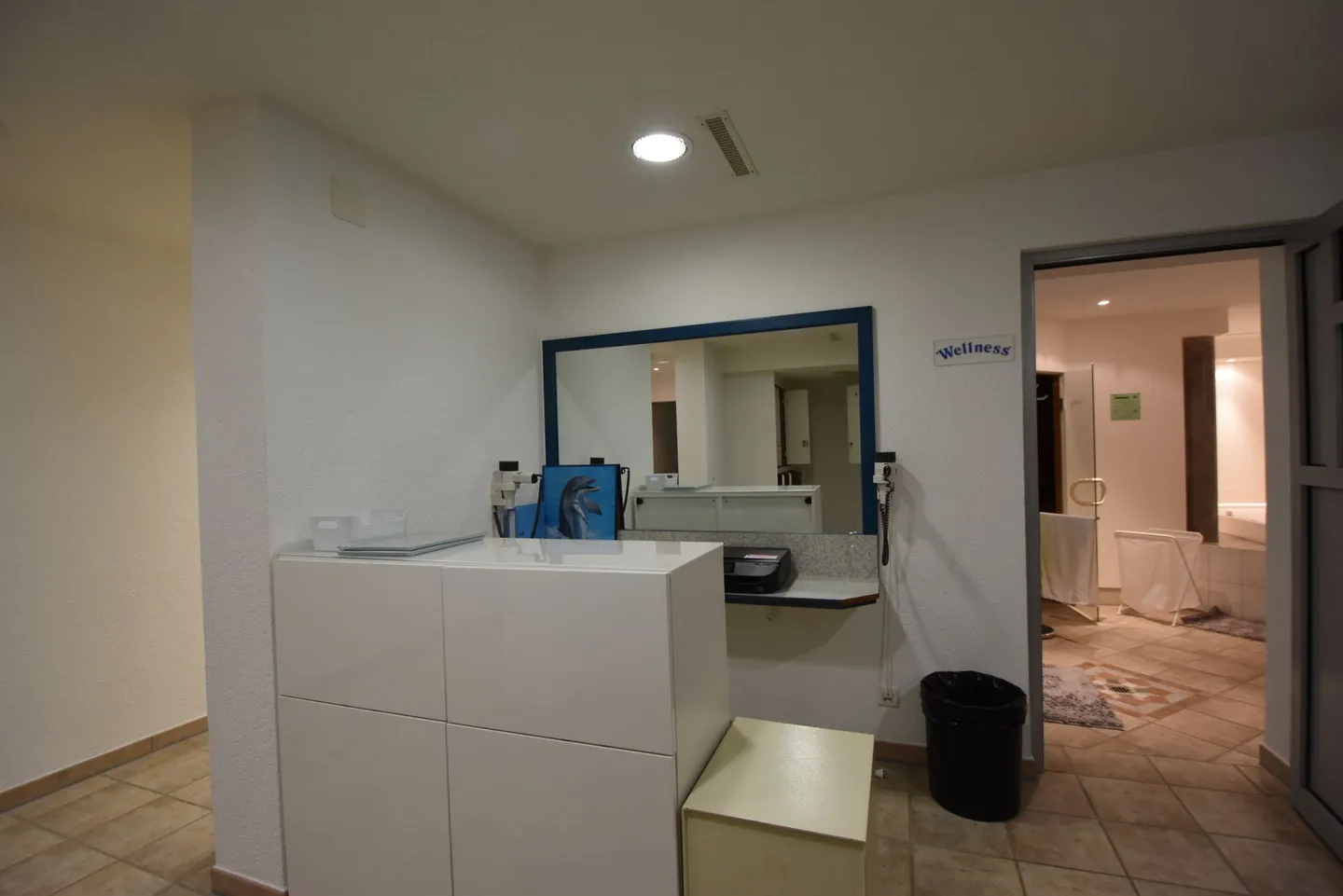 Ampie strutture commerciali a Leukerbad - Foto 9 di 14