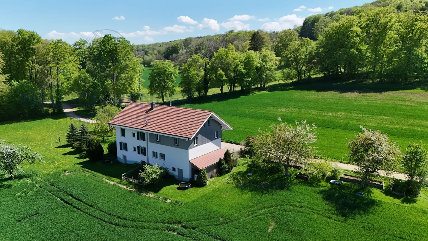 Nel mezzo della natura, bella grande casa familiare - Foto 2 di 19