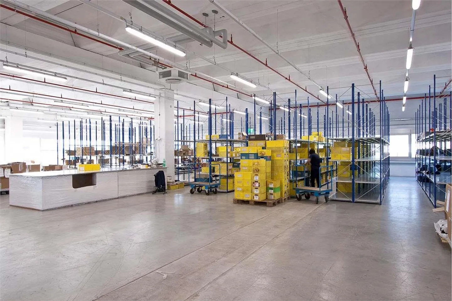 Aree logistiche e produttive di 19'000 m² - Foto 3 di 13