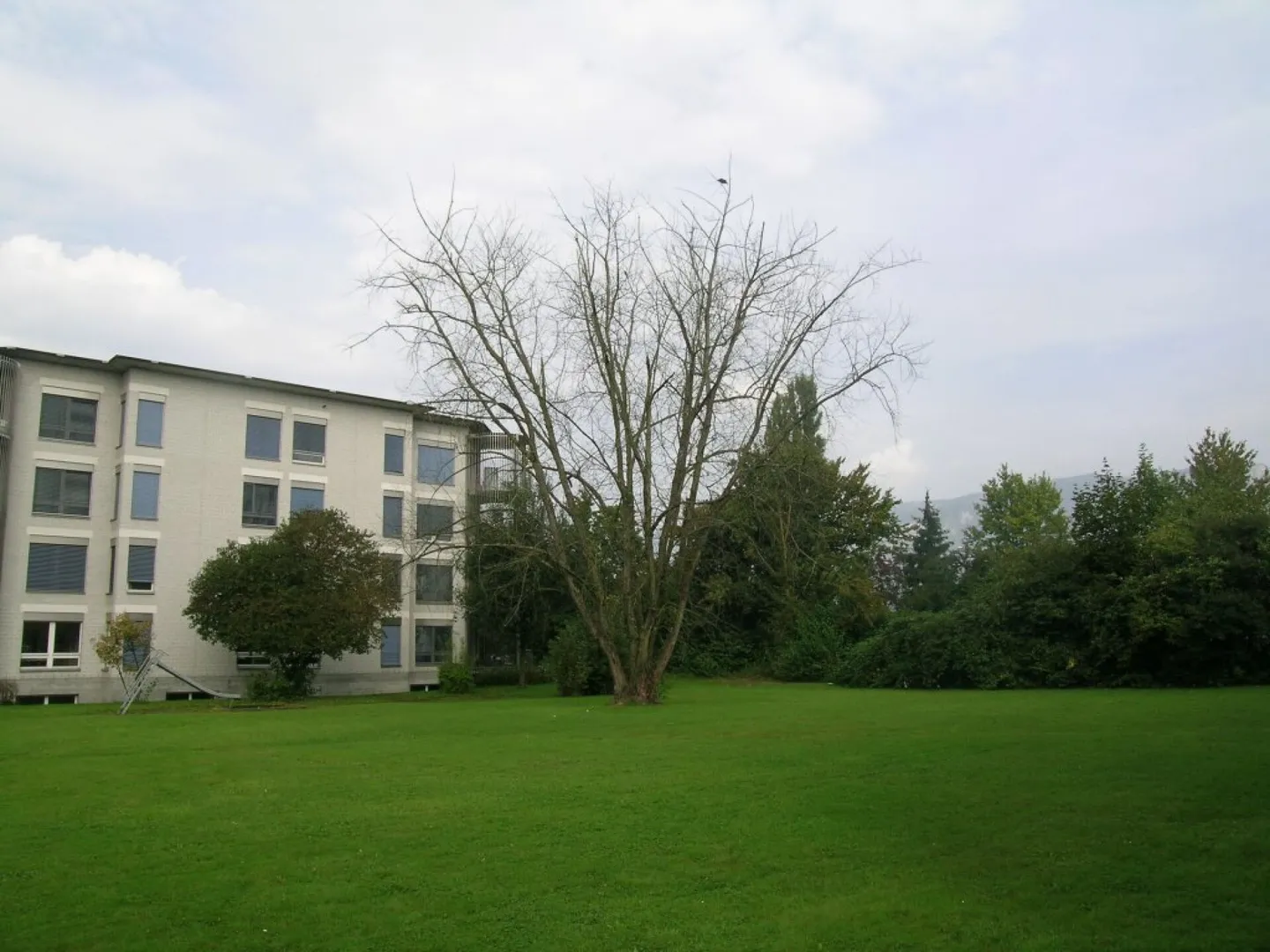 Charmante Wohnung mit Balkon - Foto 2 von 11