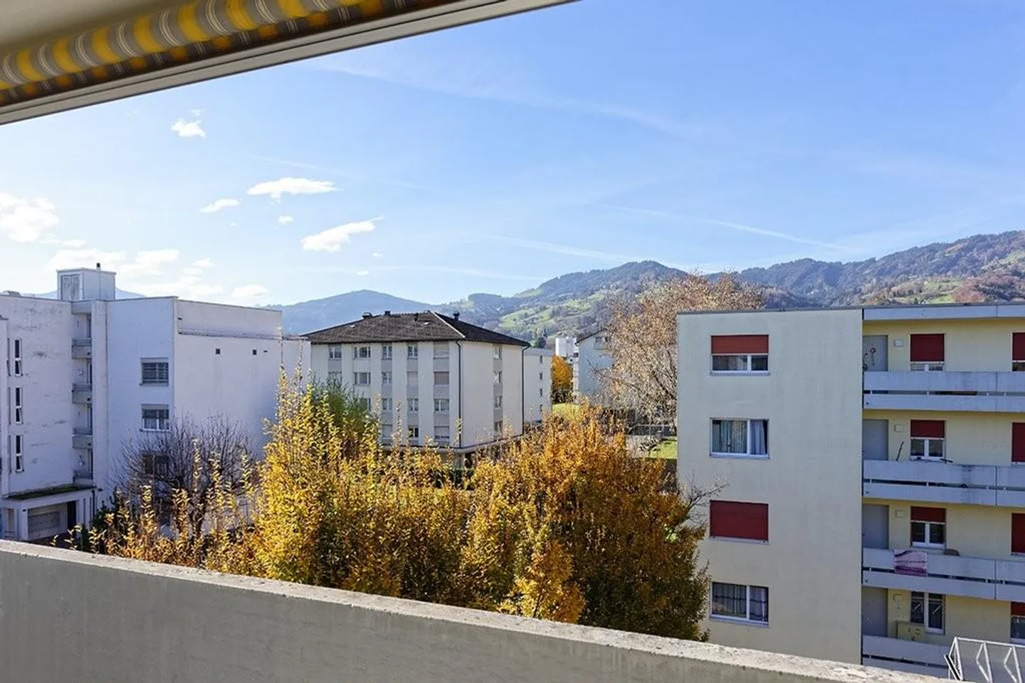 Vue sur le vert dans un quartier familial - Photo 9 sur 11