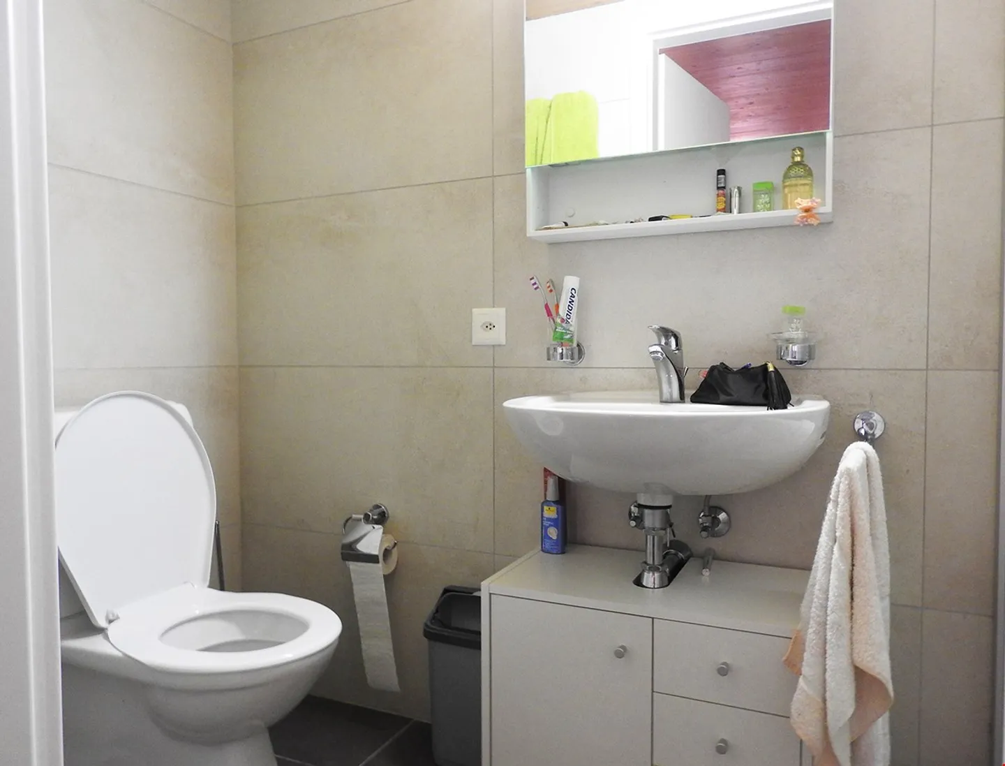 Cave à vin historique du Tessin avec appartement rénové et jardin - Photo 6 sur 15