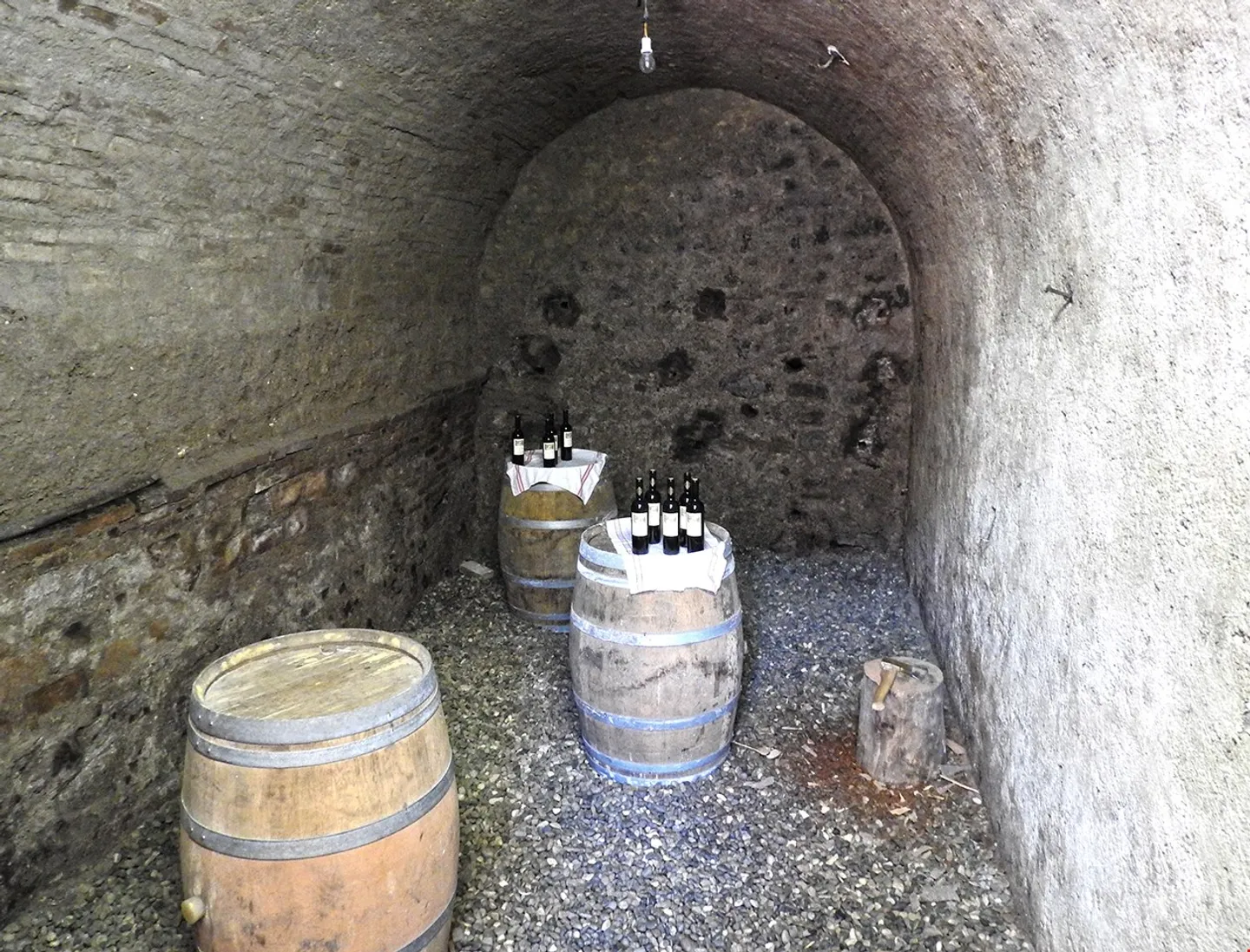 Cave à vin historique du Tessin avec appartement rénové et jardin - Photo 15 sur 15
