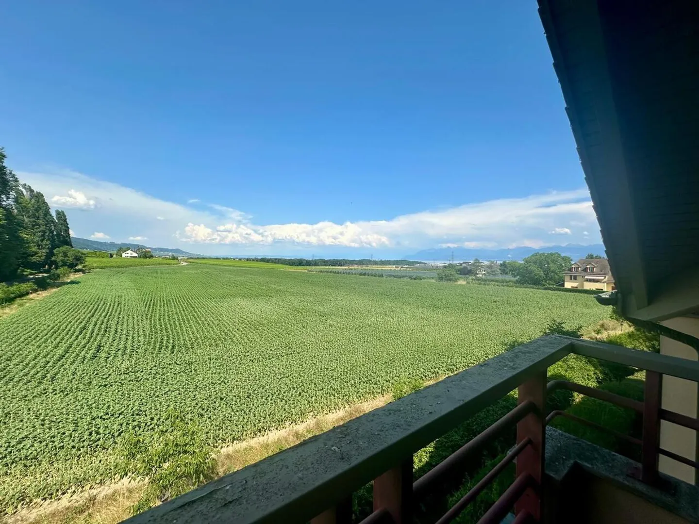 Wunderschönes renoviertes Duplex mit 4,5 Zimmern in ruhiger und grüner Umgebung - Foto 11 von 12