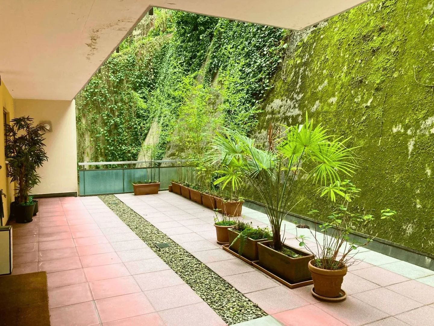 NOUVEAU PRIX. DÉPÊCHEZ-VOUS - Photo 8 sur 10