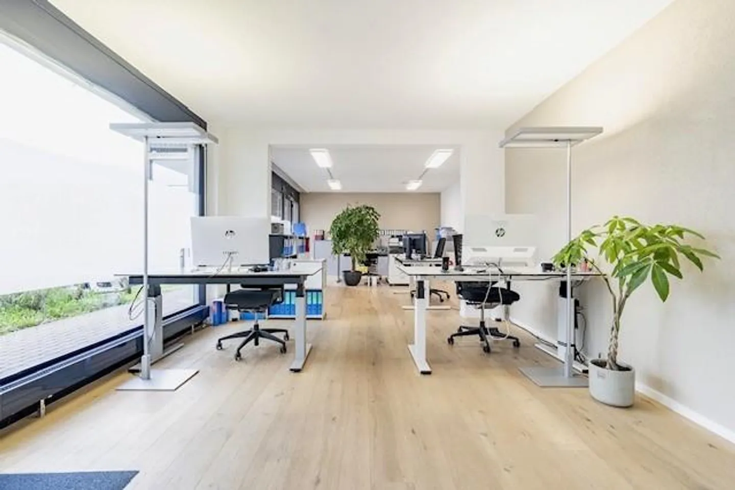 Votre espace de bureau au bord du lac de Thoune ! - Photo 4 sur 5
