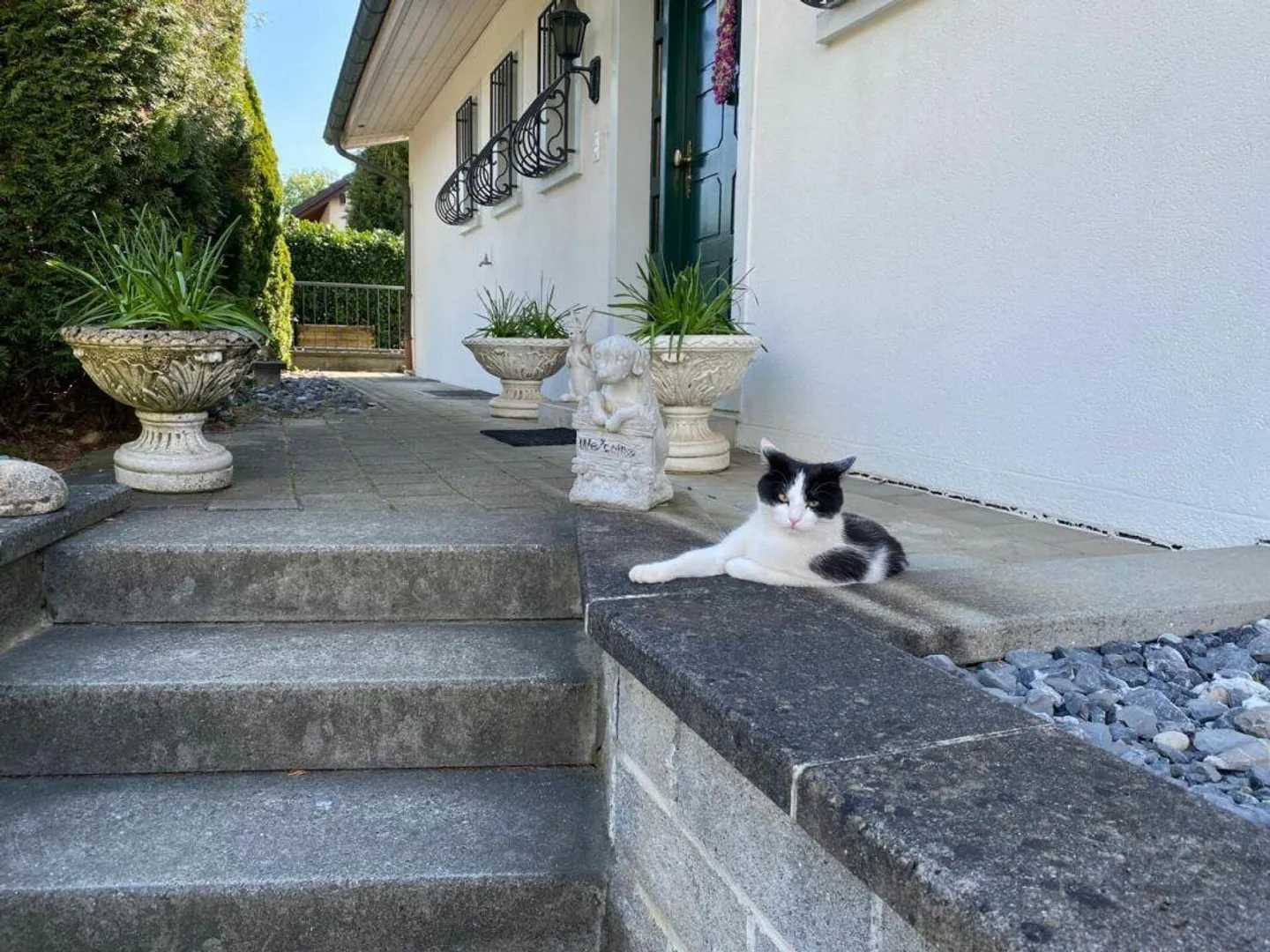 Casa unifamiliare con grande giardino - Foto 3 di 30