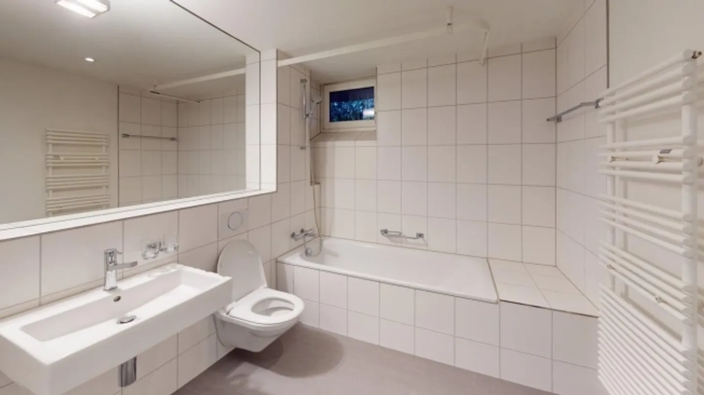 Charming 1-room apartment on Kornhausstrasse - Photo 5 of 7