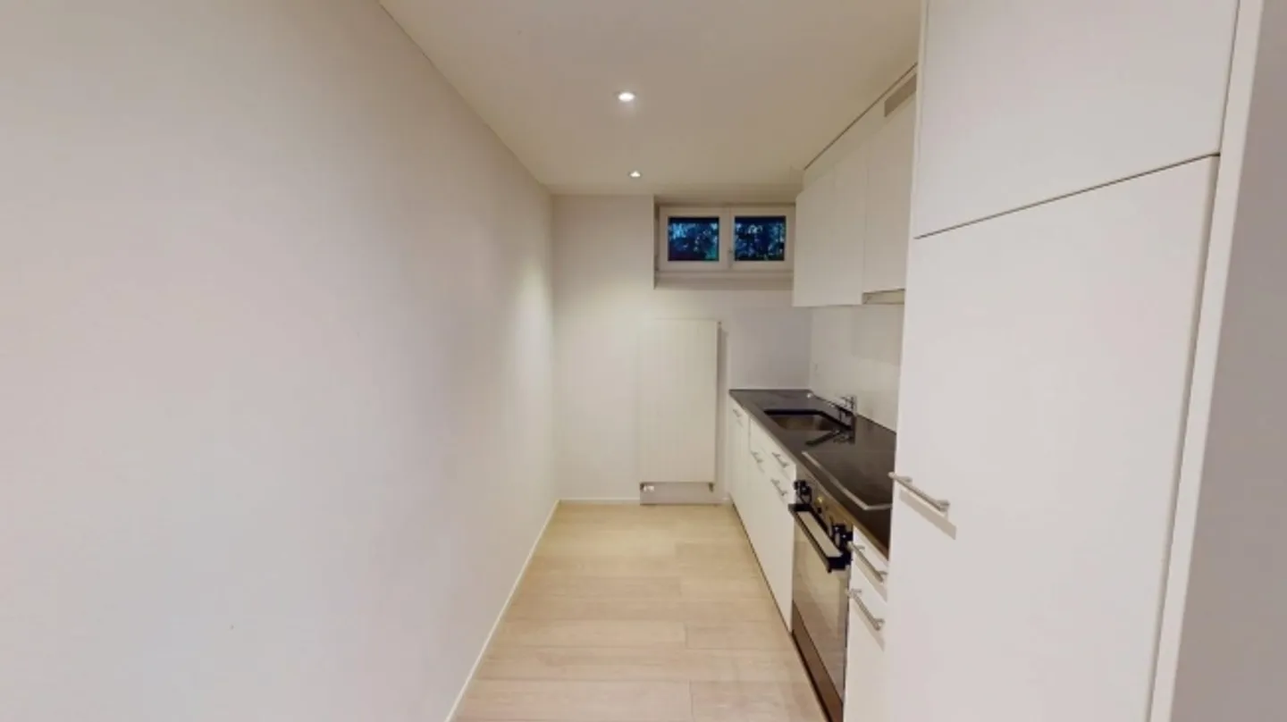 Charming 1-room apartment on Kornhausstrasse - Photo 6 of 7