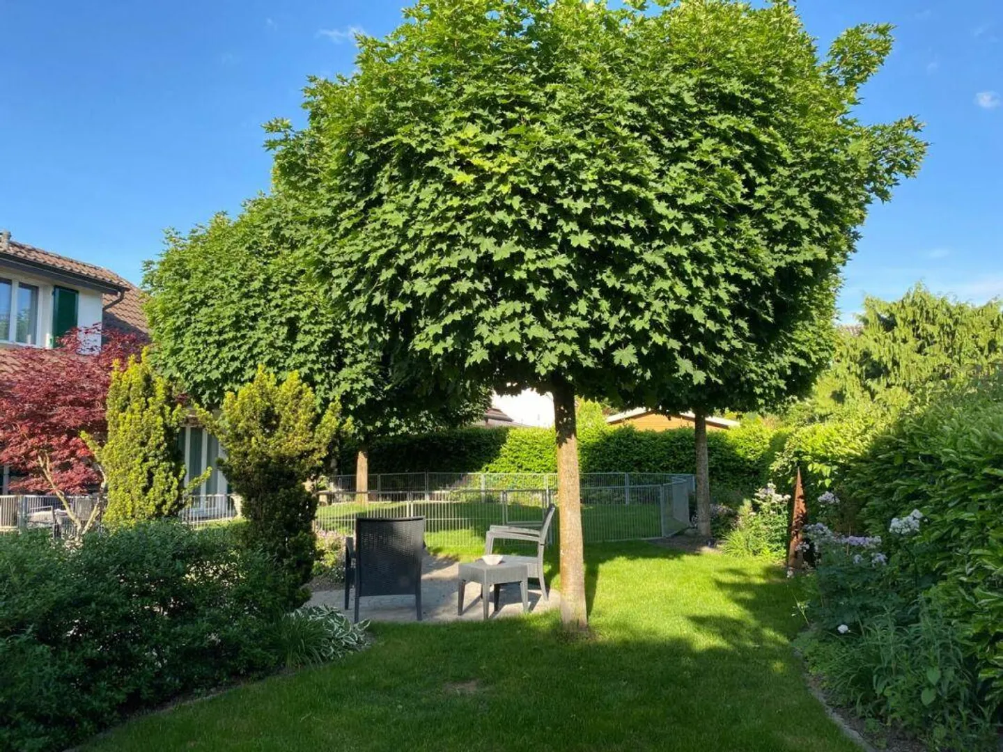 Casa unifamiliare con grande giardino - Foto 13 di 30