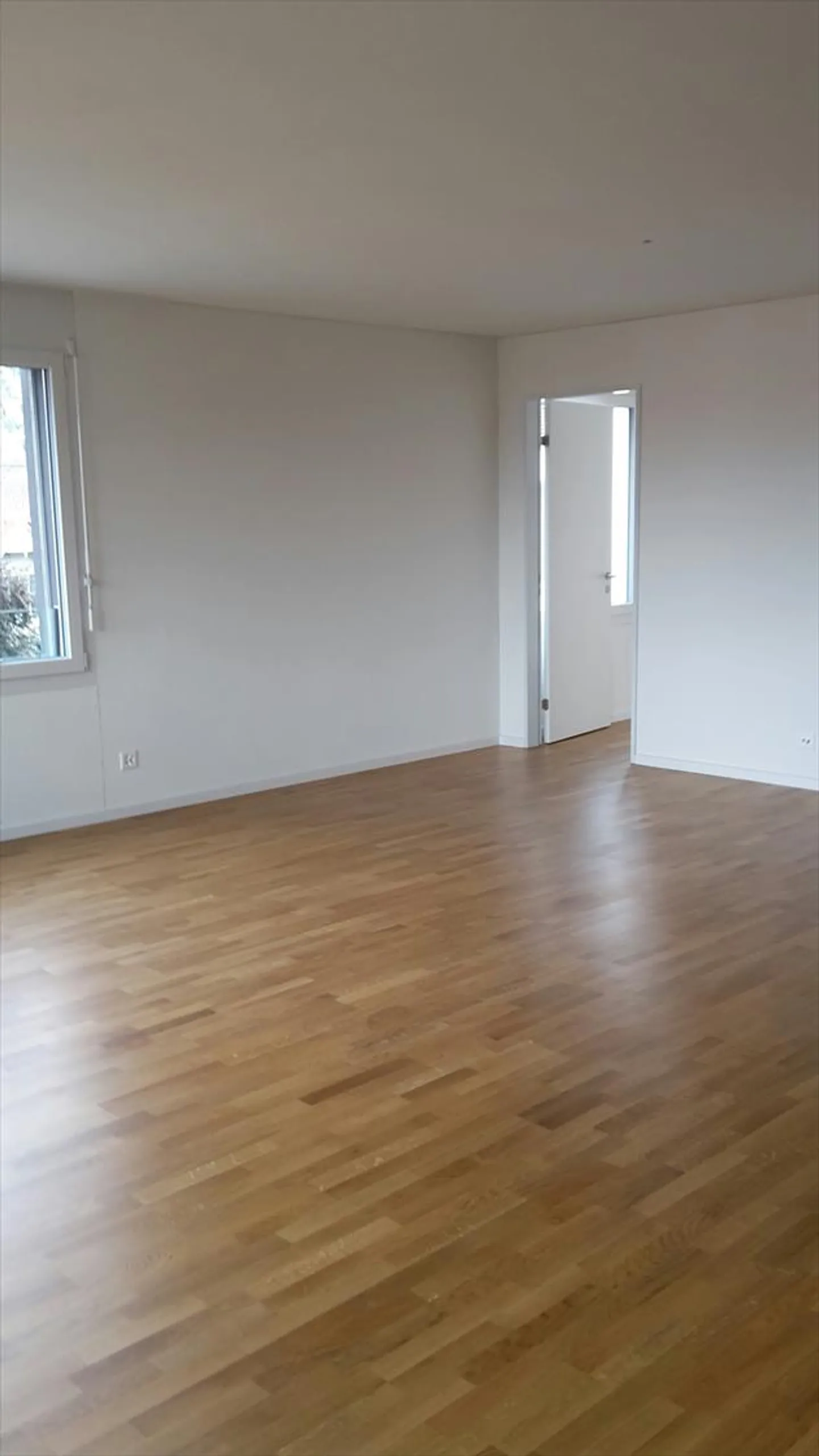 Rexmax - rundum attraktiv - Foto 2 von 8