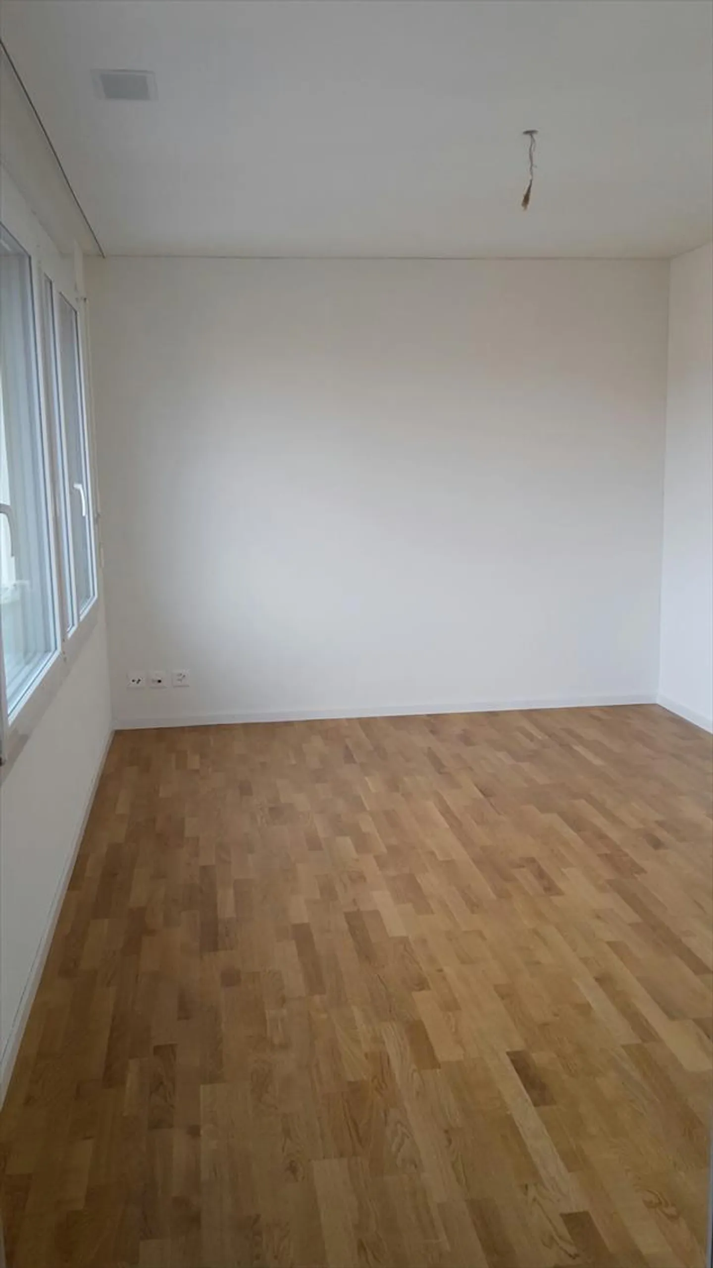 Rexmax - rundum attraktiv - Foto 5 von 8