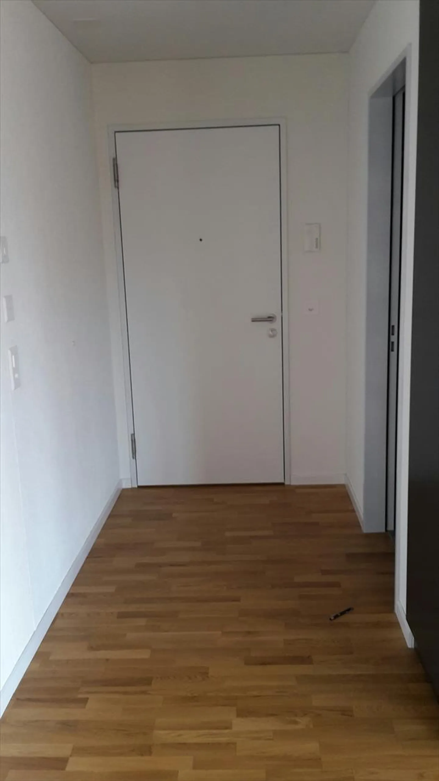 Rexmax - rundum attraktiv - Foto 6 von 8