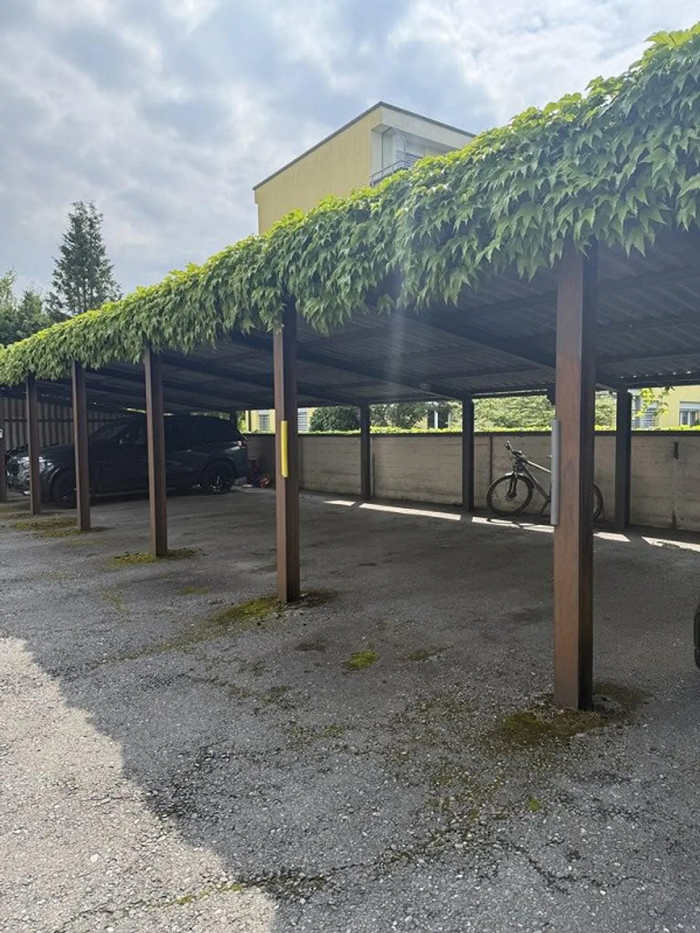 POSTO AUTO COPERTO IN AFFITTO A THUN - Foto 2 di 3