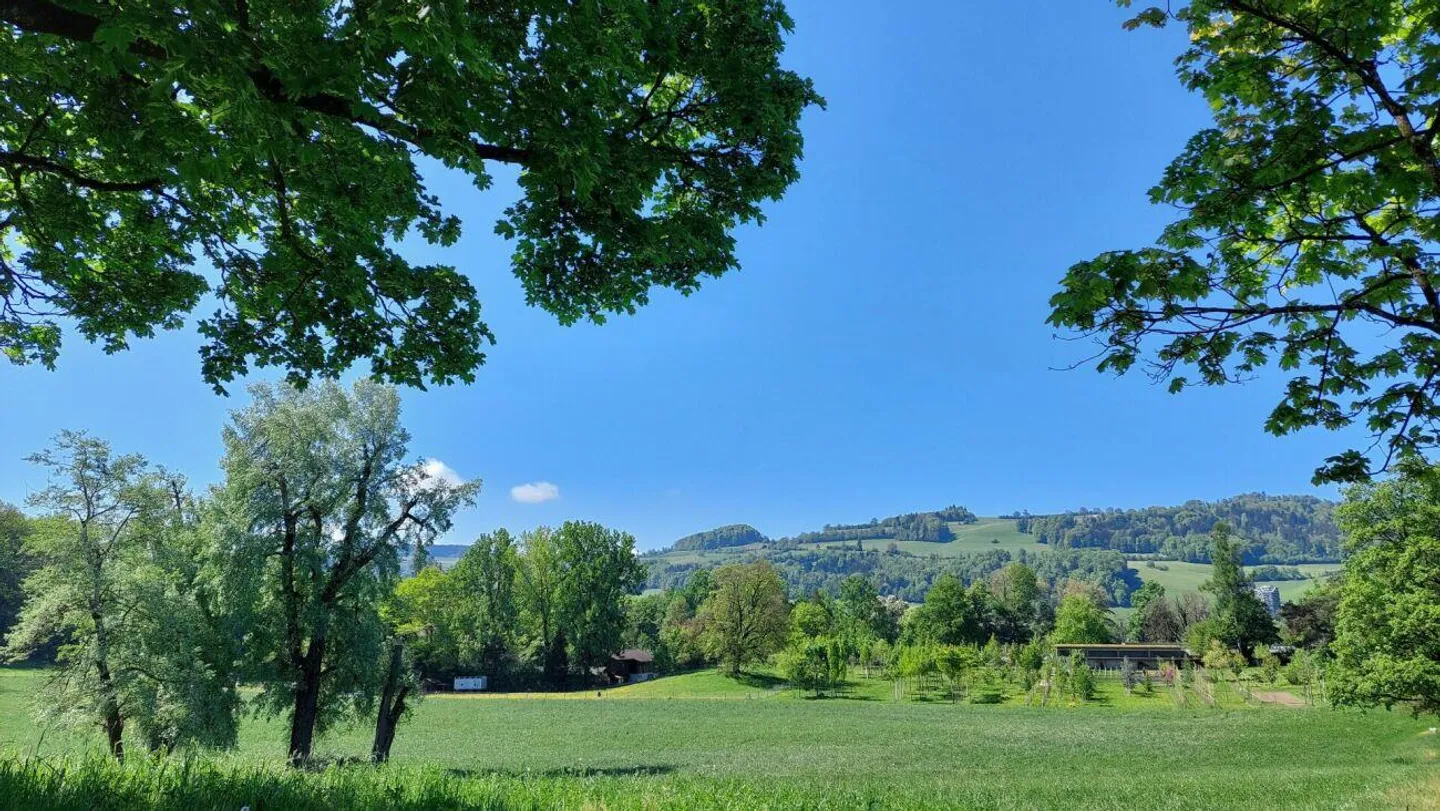 Condominium with Atelier (optional) near Elfenau - Photo 11 of 11