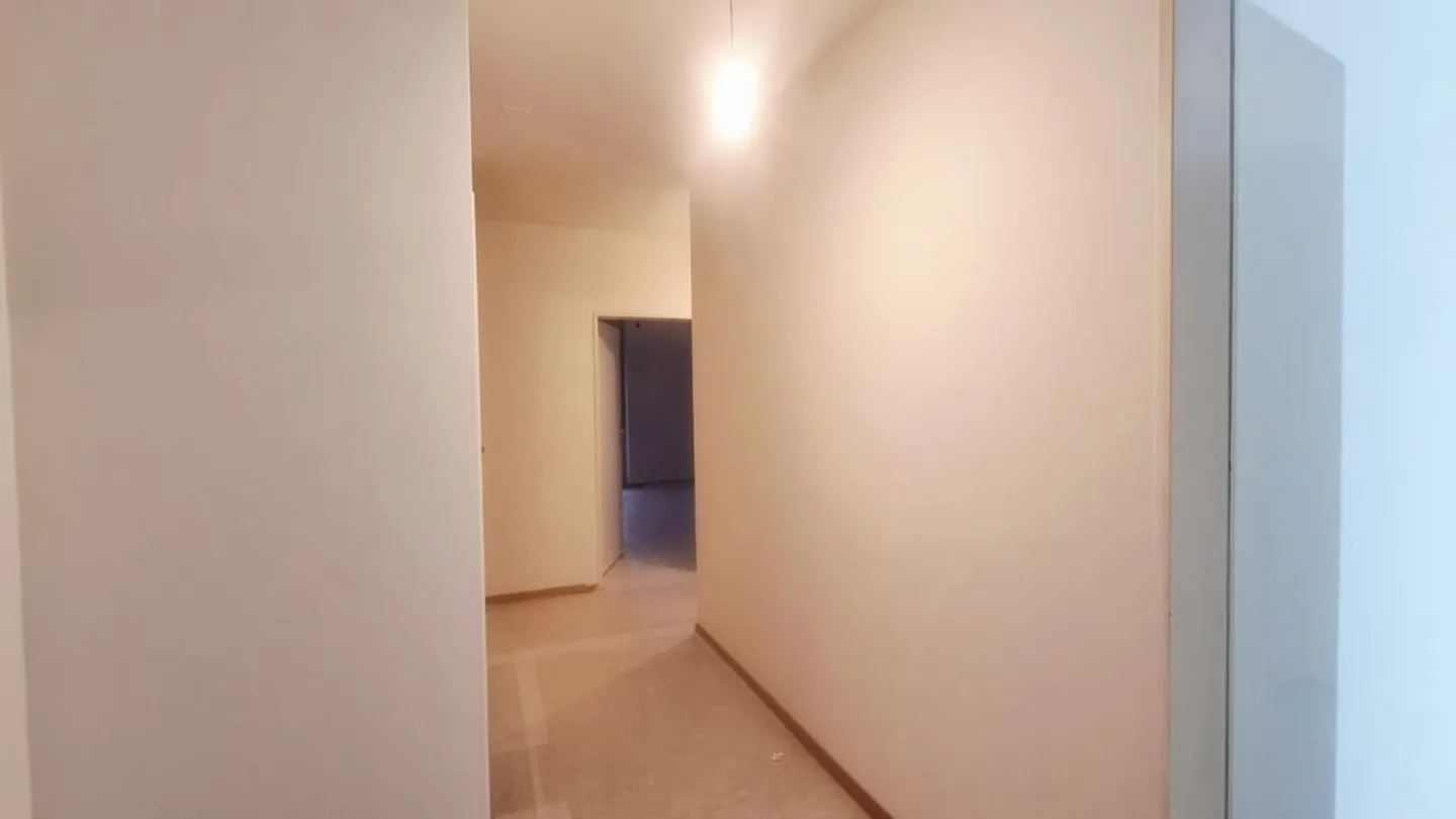 Beautiful apartment with terrace and balcony in the heart of Petit-Lancy - Photo 6 of 8