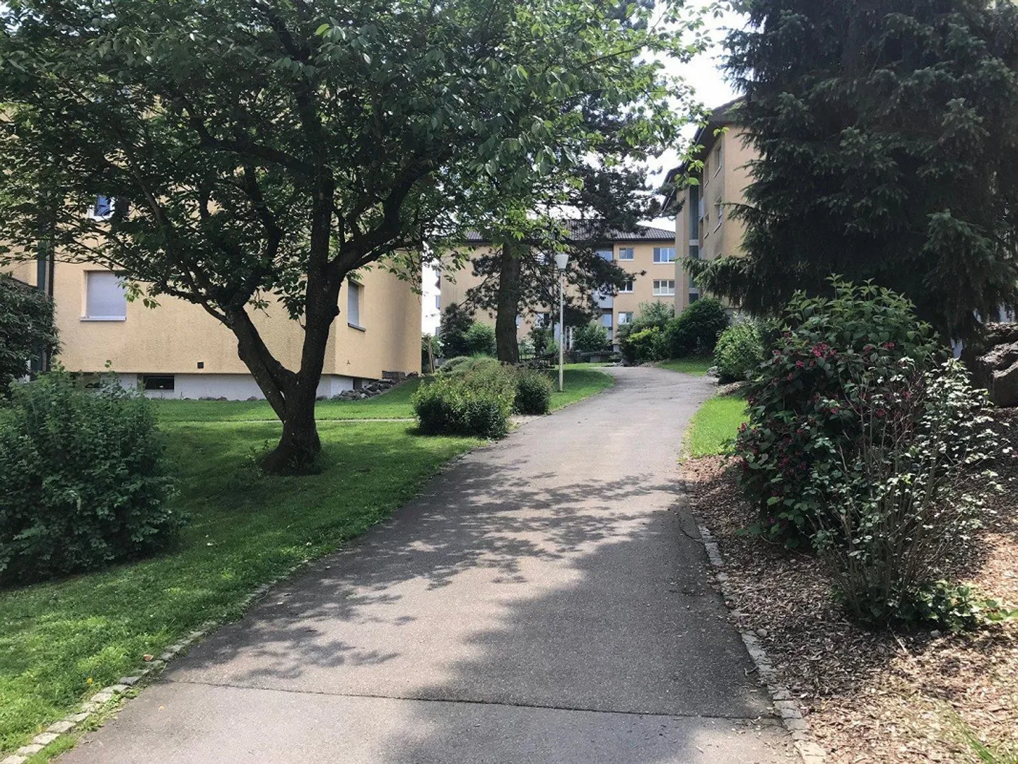 2.5-room apartment with excellent price-performance ratio - Photo 8 of 13