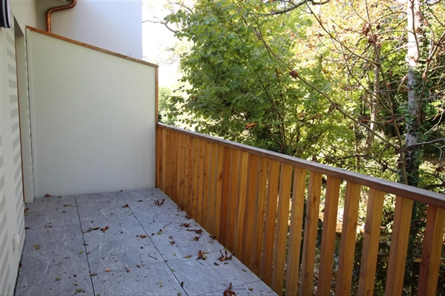 3.5-Room Apartment - Photo 6 of 9