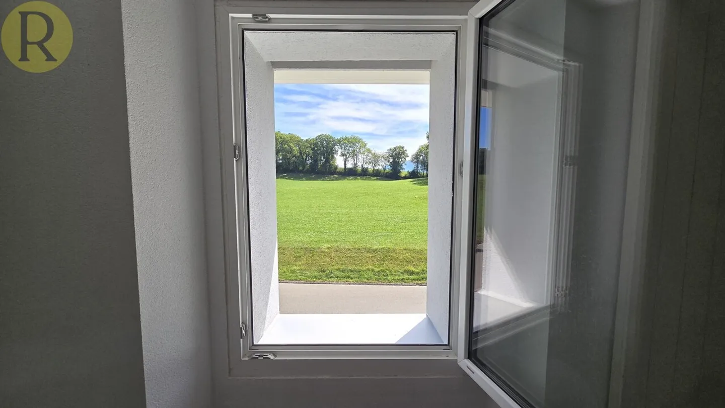15 Minutes from Vevey: Renovated 5.5-Room Villa! - Photo 6 of 9