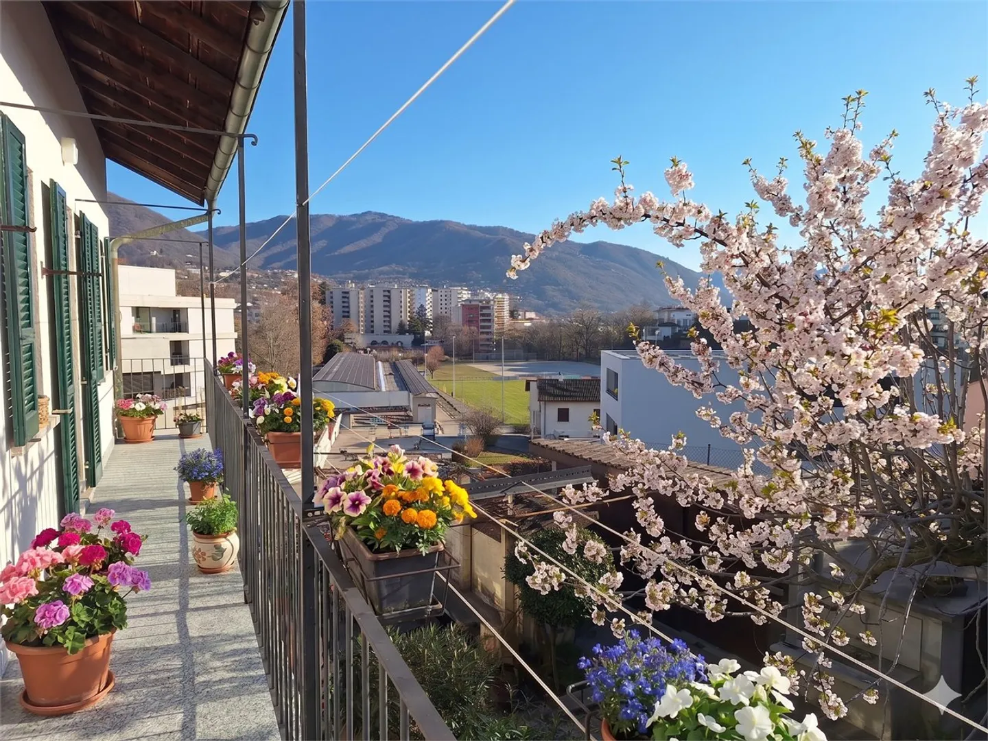 Charming Detached Apartment - Photo 3 of 20