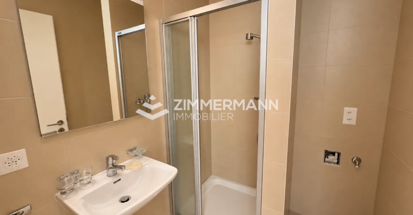 Spacious 5-room apartment in Carouge! - Photo 5 of 5