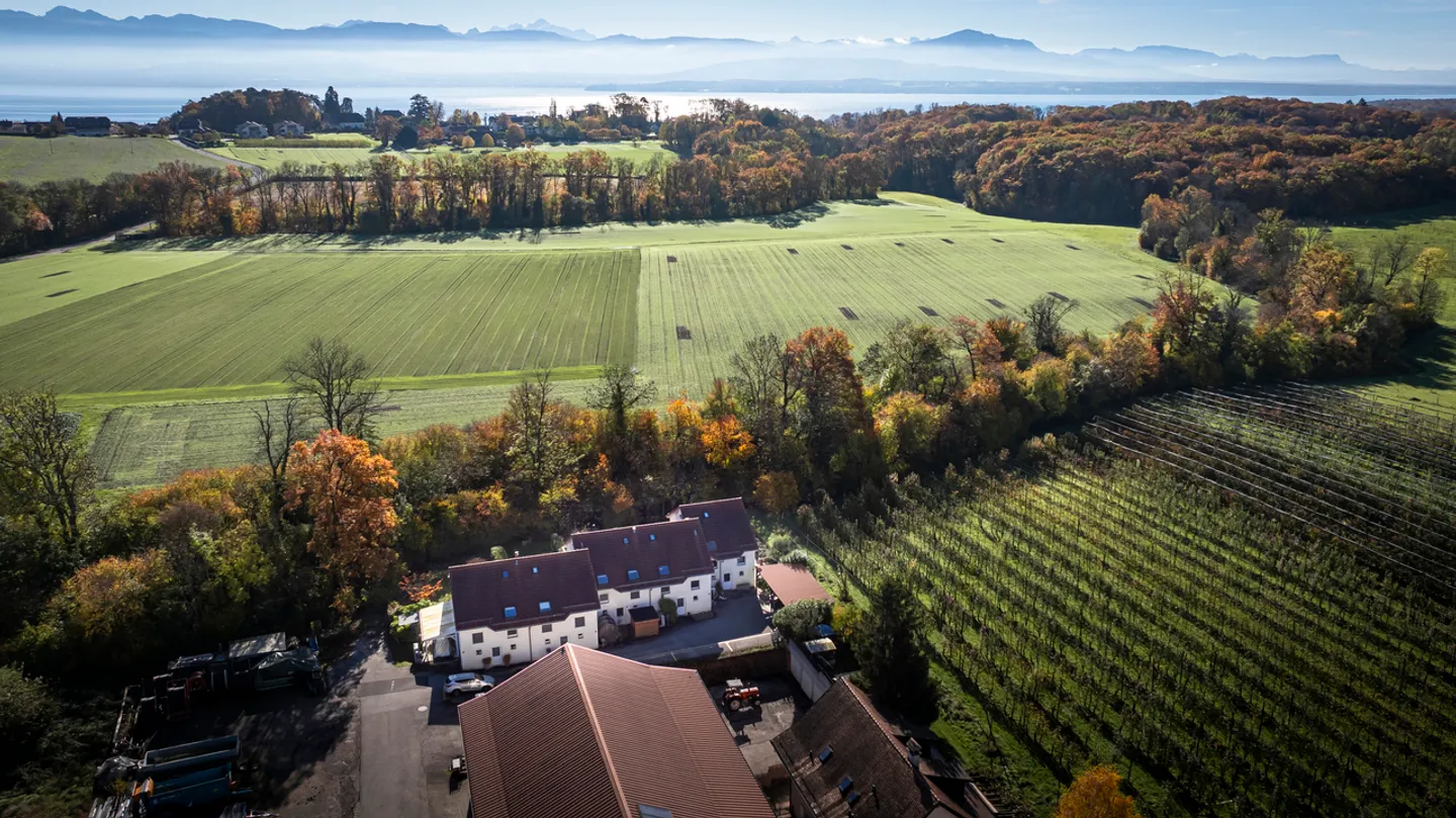 Bella villa - Luins - Foto 2 di 7