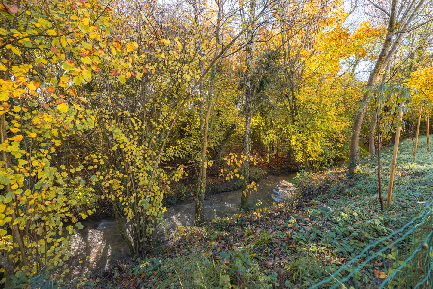 Bella villa - Luins - Foto 7 di 7