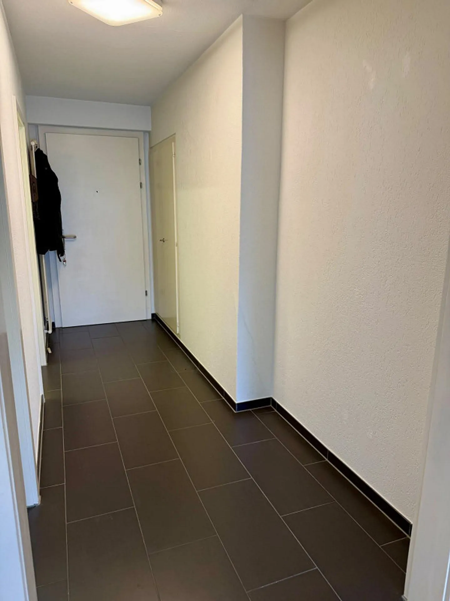 Helle 1.5-Zimmer-Wohnung in Olten - Foto 4 von 6