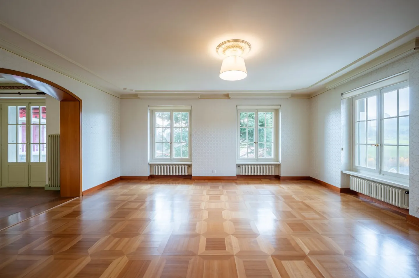 Appartamento maestoso di 6,5 stanze con giardino, terrazza e vista sulle montagne - Foto 6 di 30