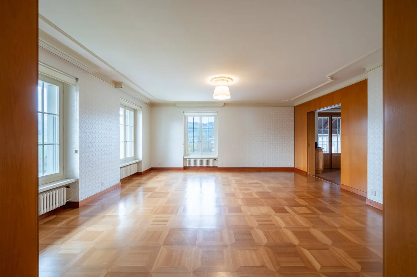 Appartamento maestoso di 6,5 stanze con giardino, terrazza e vista sulle montagne - Foto 8 di 30