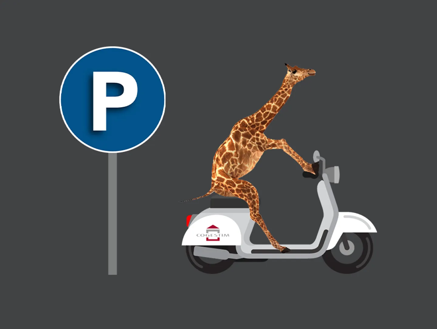 Parking Moto Souterrain Sécurisé - Photo 1 sur 1