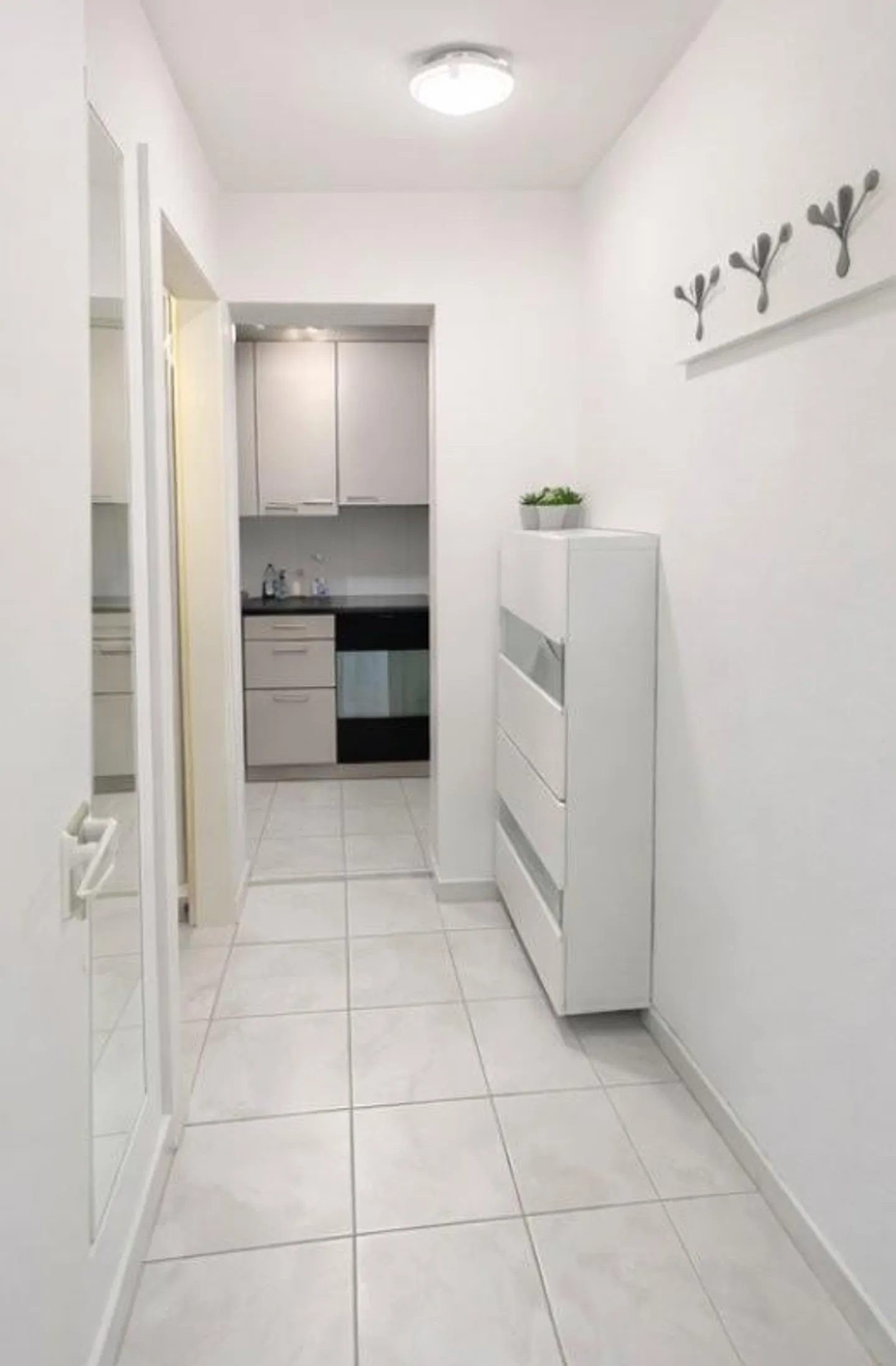 Appartement lumineux de 1,5 pièce avec cuisine moderne à Bâle - Photo 5 sur 6